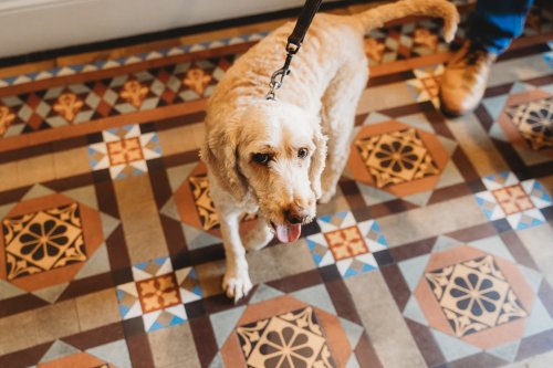 Carousel post from hotelvaratruro.