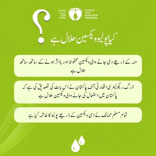 Photo post from pakfightspolio.