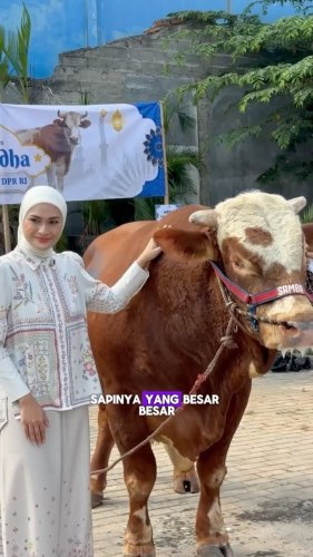 Video post from amanatnasional.