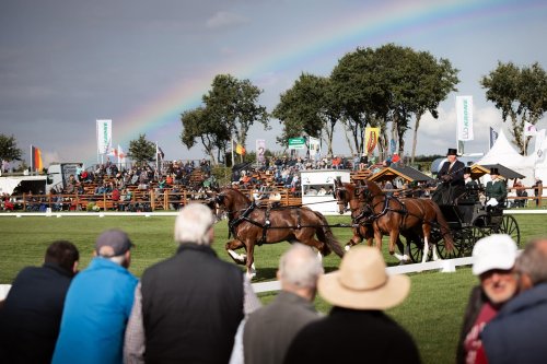 Photo post from fei_global.