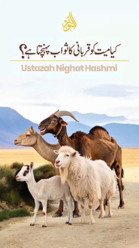 Video post from nighathashmi.