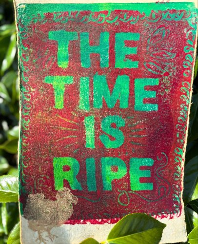 Photo post from finnriver.