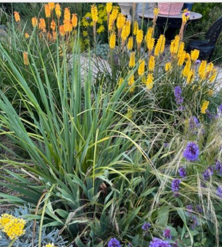Photo post from gardenhousebrighton.