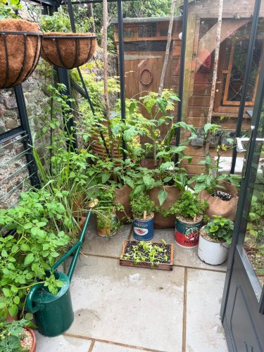 Carousel post from gardenhousebrighton.