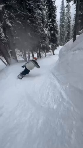 Video post from libtechnologies.