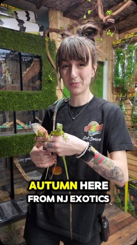 Video post from njexoticpets.