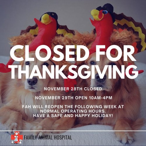 Photo post from familyanimalhospitalcm.