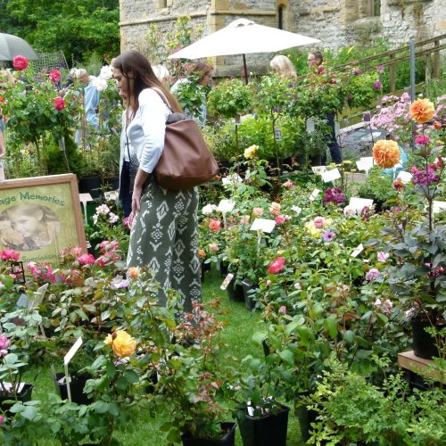 Carousel post from bramleynewspaper.