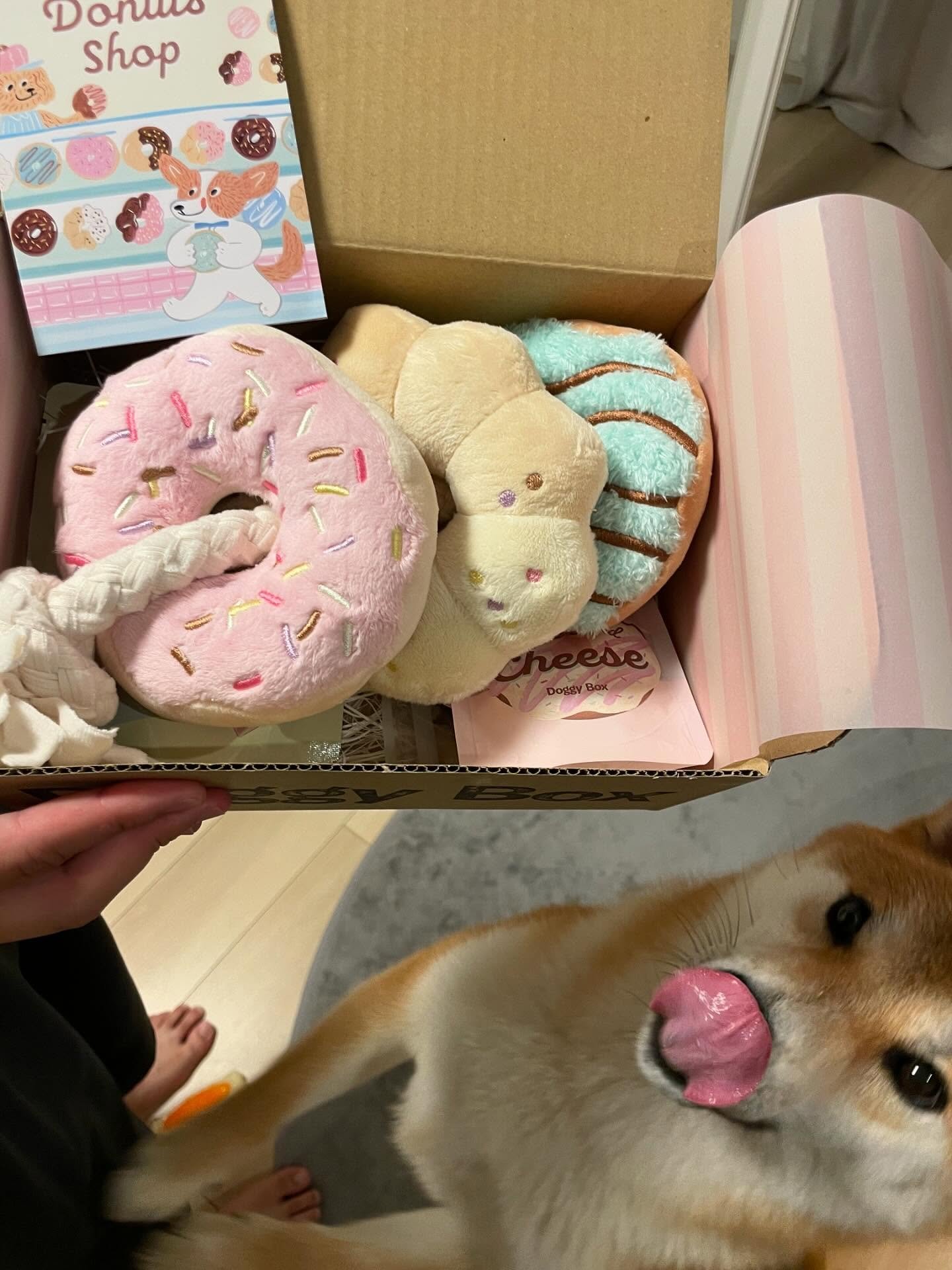 ドギーボックス ぬいぐるみ おもちゃセット Doggy Box | 毎月サプライズいっぱいのBOXをお届け