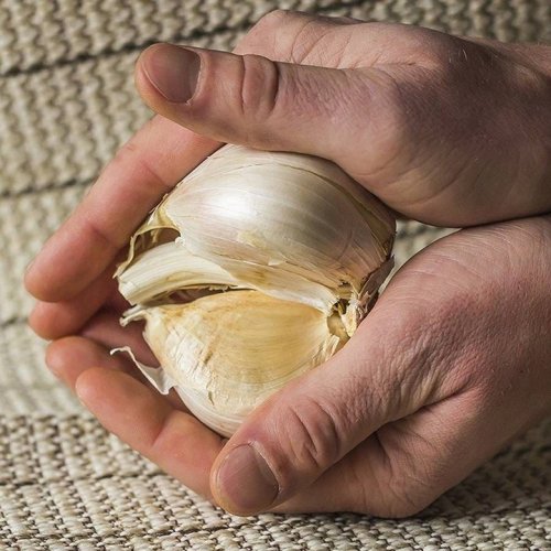 Photo post from backyardgardener.