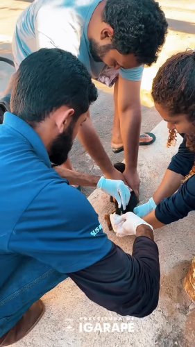 Video post from prefeituradeigarape.