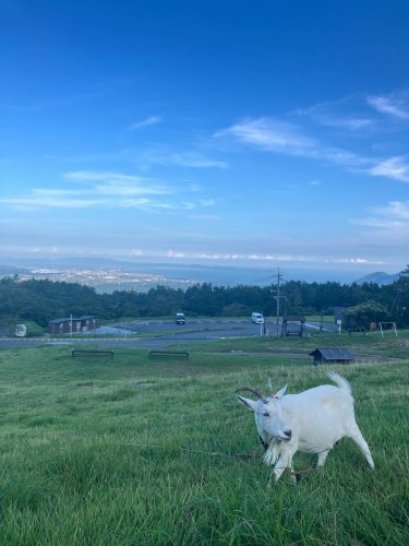 Carousel post from masumizutenkuu.