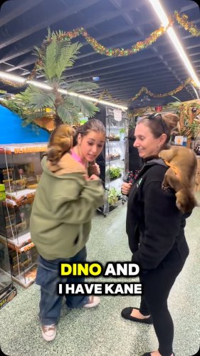 Video post from njexoticpets.