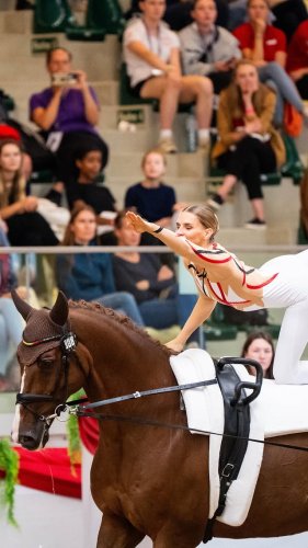 Video post from fei_global.