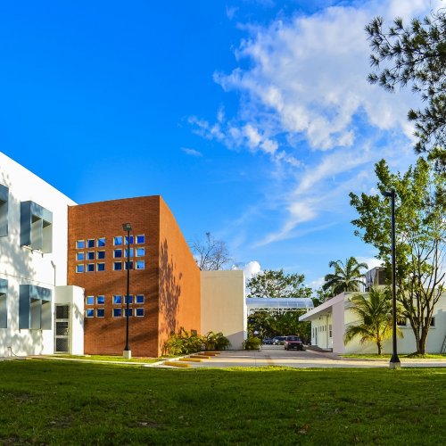 Photo post from unops_official.