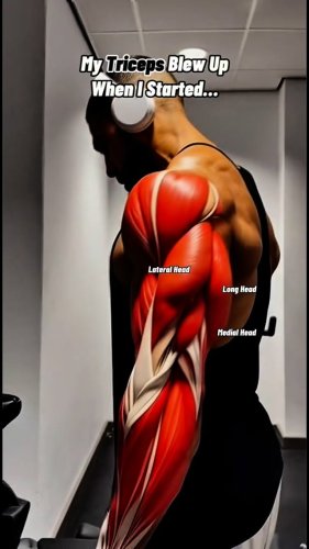 Video post from ph_gains.