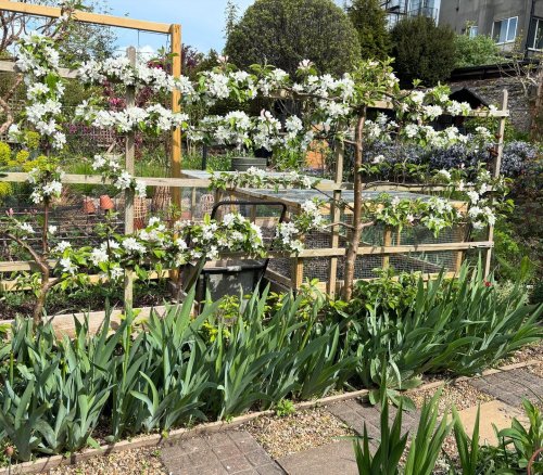 Photo post from gardenhousebrighton.