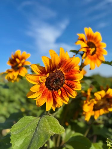 Carousel post from finnriver.