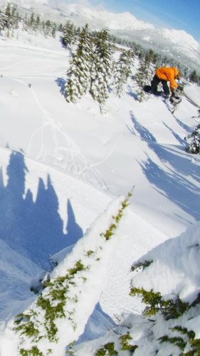 Video post from libtechnologies.