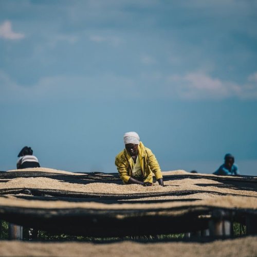 Carousel post from equianocoffee.