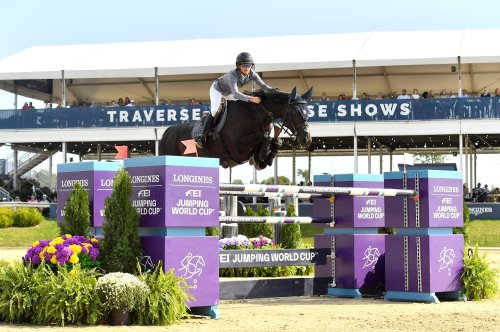 Photo post from fei_global.