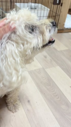 Video post.
