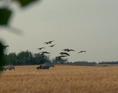 Carousel post from northernskiesoutfitters.