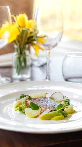 Video post from themoathouse.