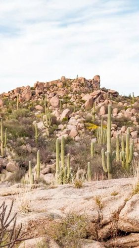 Video post from visittucson.