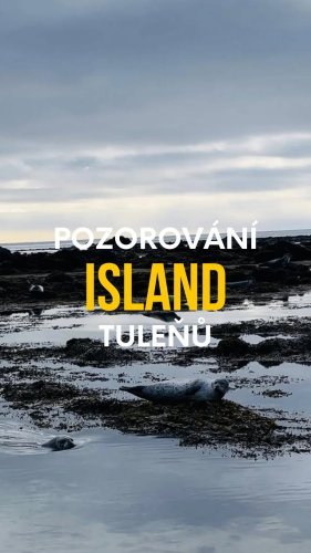 Video post.