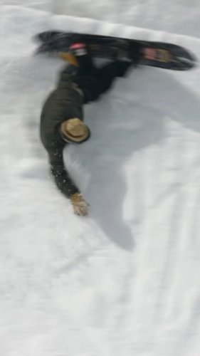 Video post from libtechnologies.