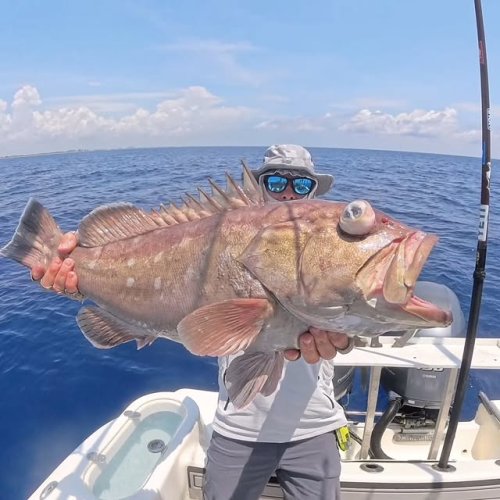 Video post from ejs_fishing_charters.