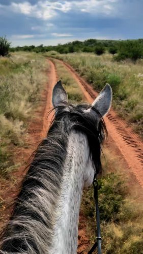 Video post from marina_tavs.