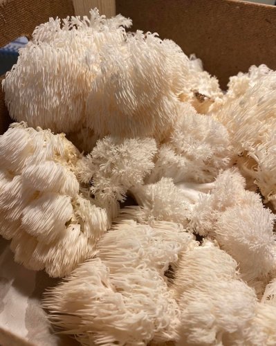 Carousel post from miditreizepontarlier.