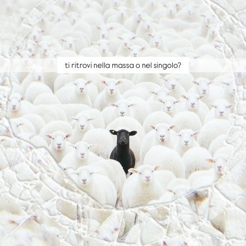 Photo post from soniajamp.