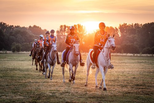 Photo post from fei_global.