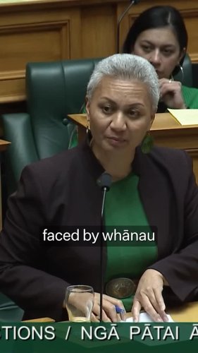 Video post from nzgreenparty.