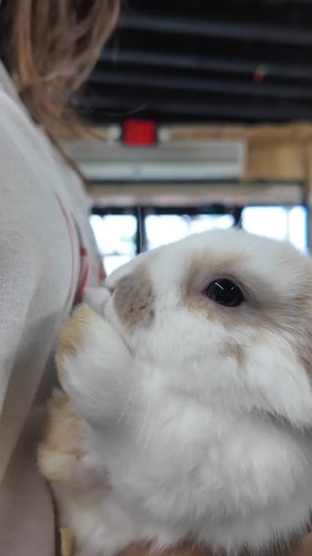Video post from njexoticpets.