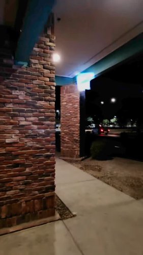 Video post from desertkingsfalconry.