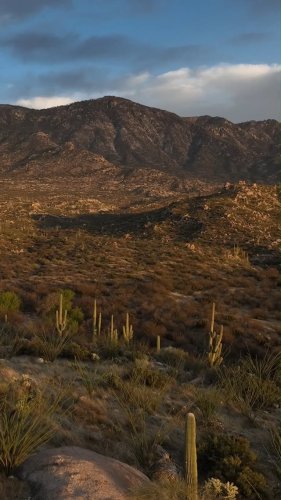 Video post from visittucson.