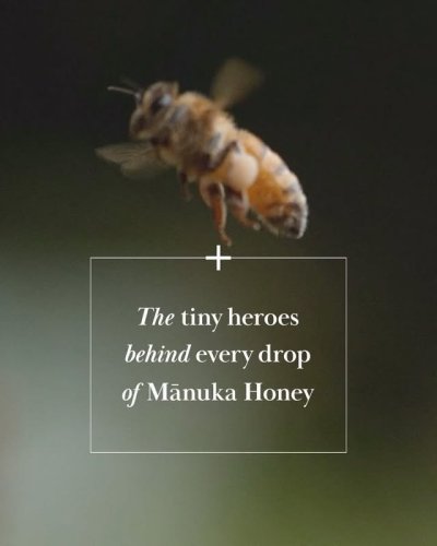 Video post from comvita_au.