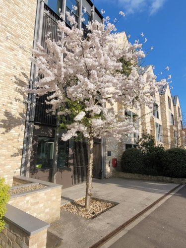 Photo post from wadhamoxford.