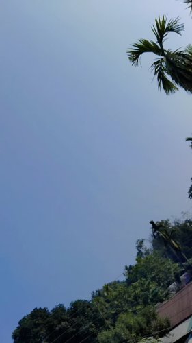 Video post from nm3511295.