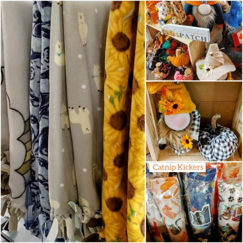 Photo post from niftygiftynorfolk.