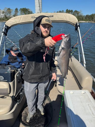 Carousel post from lanerholetter.