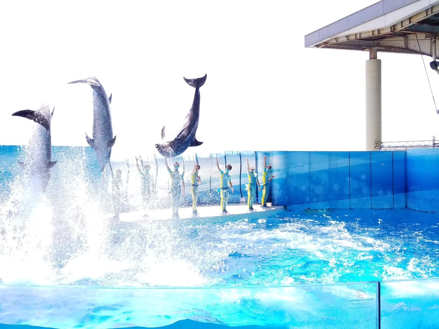 テラスモール湘南｜#湘南ハッピー TERRACE MALL SHONAN HAPPY ARCHIVE