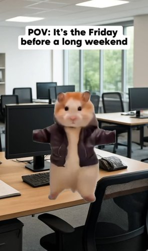 Video post from american_re_partners.