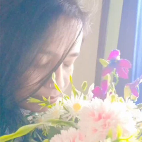 Video post from diparoy7547.