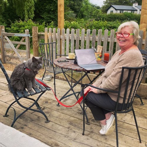 Photo post from toast_flyford.