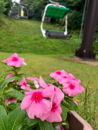 Carousel post from masumizutenkuu.